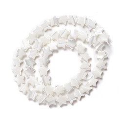 Seashell Color Natural Trochid Shell/Trochus Shell Beads, Star, Seashell Color, 8x8.5x2.5~3mm, Hole: 0.8mm, about 55pcs/strand, 15.55 inch(39.5cm)