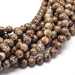 Léopard Brins de perles rondes en jaspe en peau de léopard naturel, 10mm, Trou: 1mm, Environ 40 pcs/chapelet, 16 pouce