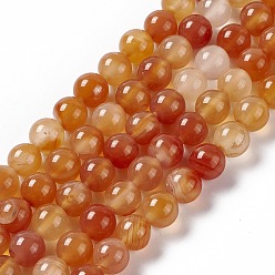 Red Agate Natural Red Agate Beads Strands, Grade AB, Round, 8mm, Hole: 1.2mm, about 49pcs/strand, 14.96 inch(38cm)