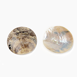 Chameau Boutons de nacre, bouton coquillage akoya naturel, plat rond, chameau, 30x3~5mm, Trou: 1.6mm