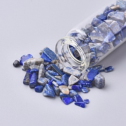 Lapis Lazuli Bouteille en verre qui souhaitent, pour la décoration de pendentif, avec perles de lapis-lazuli à l'intérieur et bouchon en liège, 22x71mm