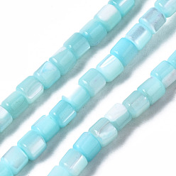 Sky Blue Natural Trochid Shell/Trochus Shell Bead Strands, Dyed, Column, Sky Blue, 3.5x3.5mm, Hole: 1mm, about 111~117pcs/strand, 15.35 inch~15.94 inch(39~40.5cm)