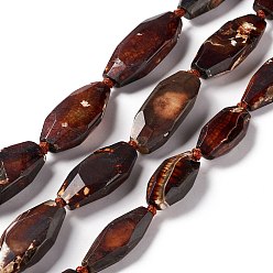 Coconut Brown Natural Agate Beads Strands, Dyed, Faceted, Polygon, Coconut Brown, 27~45x16~18x6.5~9mm, Hole: 1.6mm, about 9~14pcs/strand, 15.75~17.32 inch(40~44cm)