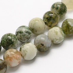 Tree Agate Natural Tree Agate Beads Strands, Round, 8mm, Hole: 1mm, about 46pcs/strand, 14.5 inch(37cm)