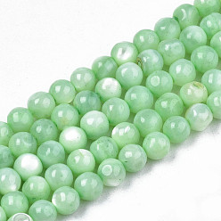 Light Green Natural Freshwater Shell Beads Strands, Dyed, Round, Light Green, 4mm, Hole: 0.8mm, about 97~99pcs/strand, 14.88 inch~15.16 inch(37.8~38.5cm)