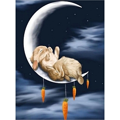Черный Diy прямоугольный кролик тема алмазная живопись наборы, в том числе холст, смола стразы, алмазная липкая ручка, поднос тарелка и клей глина, спящие кролики на луне, чёрные, 400x300 мм