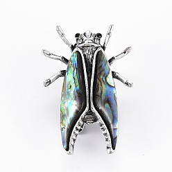 Colorful Cicada Shape Natural Abalone Shell/Paua Shell Brooch Pin, Alloy with Rhinestone Lapel Pin for Backpack Clothing, Lead Free & Cadmium Free, Antique Silver, Colorful, 41x27x15~17mm, Hole: 5x3mm, Pin: 0.7mm