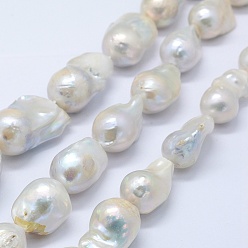 Creamy White Natural Baroque Pearl Keshi Pearl Beads Strands, Cultured Freshwater Pearl, Nuggets, Creamy White, 20~30x15~19x15mm, Hole: 0.5mm, about 20pcs/strand, 15.3 inch