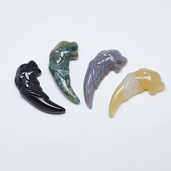 Natural Agate Natural Agate Big Pendants, Wolf Tooth Shape, 49~53x22~24x9~13mm, Hole: 1mm