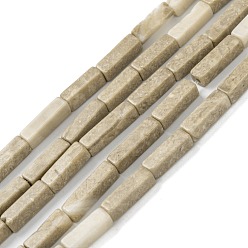 Ископаемое Природных ископаемых нитей бисера, кубоид, 12~13x4x4 мм, отверстие : 1.2 мм, около 29~30 шт / нитка, 15.24''~15.63'' (38.7~39.7 см)