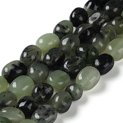 Vert mer Foncé Malaisie naturelles perles de jade brins, facette, ovale, teint et chauffé, vert de mer foncé, 10.5~13x8.5~10x7~10mm, Trou: 1.2mm, Environ 31~32 pcs/chapelet, 14.57''~15.16'' (37~38.5 cm)