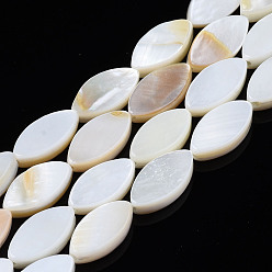 Coquillage De Mer Eau douce naturelle de coquillage perles brins, oeil de cheval, couleur de coquillage, 10.5x5.5x2.5mm, Trou: 0.7mm, Environ 37 pcs/chapelet, 15.43'' (39.2 cm)