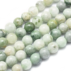 Myanmar Jade Natural Myanmar Jade/Burmese Jade Beads Strands, Round, 6mm, Hole: 0.5mm, about 66pcs/Strand, 15.75 inch(40cm)