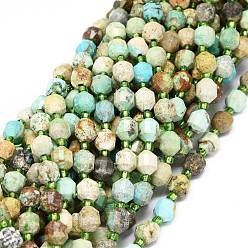 Natural Turquoise Natural Turquoise Beads Strands, with Seed Beads, Faceted, Bicone, Double Terminated Point Prism Beads, 5~7x6mm, Hole: 0.8mm, about 48pcs/strand, 15.55 inch(39.5cm)