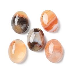 PeachPuff Natural Striped Agate/Banded Agate Cabochons, Dyed & Heated, Oval, PeachPuff, 18~18.5x13~13.5x6mm
