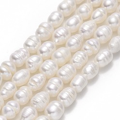 Lino Hilos de perlas de agua dulce cultivadas naturales, arroz, lino, 7~10x5.5~6 mm, agujero: 0.7 mm, sobre 42~45 unidades / cadena, 13.39'' (34 cm)