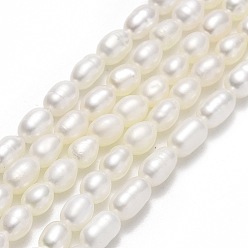 Linen Natural Cultured Freshwater Pearl Beads Strands, Rice, Linen, 4.5~~6.5x3.5~4mm, Hole: 0.6mm, about 64~71pcs/strand, 14.57''~14.96"(37~38cm)