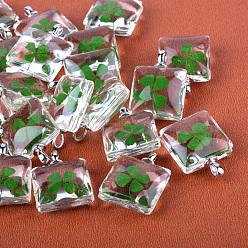 Platinum Square Alloy Glass Pendants, Cadmium Free & Lead Free, with Dried Clover Inside, Platinum, 37x30x17mm, Hole: 4.5x2.5mm