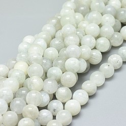 White Moonstone Natural White Moonstone Beads Strands, Round, 8mm, Hole: 1mm, about 47pcs/strand, 15.55 inch(39.5cm)