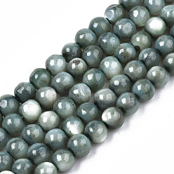 Cadet Blue Natural Freshwater Shell Beads Strands, Dyed, Round, Cadet Blue, 4mm, Hole: 0.8mm, about 97~99pcs/strand, 14.88 inch~15.16 inch(37.8~38.5cm)