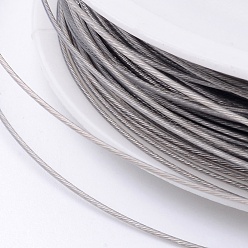 Raw Fil de queue de couleur d'origine (brut), acier inoxydable revêtu de nylon, cru, 0.6mm, environ 72.17 pieds (22 m)/rouleau