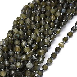 Larvikite Natural Larvikite Beads Strands, with Seed Beads, Faceted, Bicone, Double Terminated Point Prism Beads, 5~7x6mm, Hole: 0.8mm, about 48pcs/strand, 15.55 inch(39.5cm)