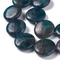 Apatite Natural Apatite Beads Strands, Flat Round, 20x6~7mm, Hole: 0.8mm, about 20pcs/strand, 15.75 inch(40cm)