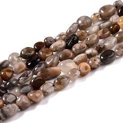 Sunstone Natural Black Sunstone Beads Strands, Nuggets, Tumbled Stone, 5~8.5x5.5~7x3.5~4mm, Hole: 0.7mm, about 64pcs/strand, 16.34''(41.5cm)