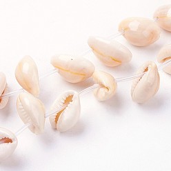 Bisque Natural Cowrie Shell Beads Strands, Bisque, 17~19x10~14x8~9mm, Hole: 1mm, about 26pcs/strand, 15.5 inch(39.5cm)