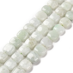 Autres Jades Brins de perles de jade myanmar naturel, carrée, 11x10.5x5~5.5mm, Trou: 1.2mm, Environ 38 pcs/chapelet, 15.75 pouce (40 cm)