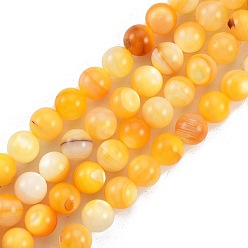Yellow Shell Natural Golden Yellow Shell Beads Strands, Round, 8mm, Hole: 0.9mm, about 49pcs/strand, 14.96 inch(38cm)