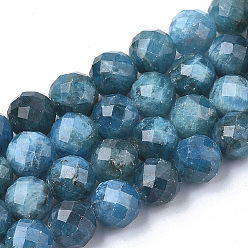 Apatite Natural Apatite Beads Strands, Faceted, Round, 7.5~8x8mm, Hole: 1mm, about 25pcs/strand, 7.48 inch
