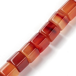 Red Agate Natural Red Agate Beads Strands, Polygon, 14x14x10.5mm, Hole: 1mm, about 20~21pcs/strand, 8.07~8.46 inch(20.5~21.5cm)