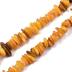 Orange Natural Freshwater Shell Beads Strands, Dyed, Chips, Orange, 0.4~4x6.5~20x4.5~8.5mm, Hole: 0.7~0.8mm, about 301~340pcs/strand, 30.94 inch~32.36 inch(78.6cm~82.2cm)