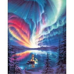 Colorful DIY Rectangle Forest Aurora Mermaid Scenery Theme Diamond Painting Kits, Including Canvas, Resin Rhinestones, Diamond Sticky Pen, Tray Plate and Glue Clay, Colorful, 400x300mm