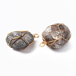 Map Stone Natural Map Stone Pendants, with Golden Plated Brass Wire Wrapped, Nuggets, 14~25x15~32x13~21mm, Hole: 4mm
