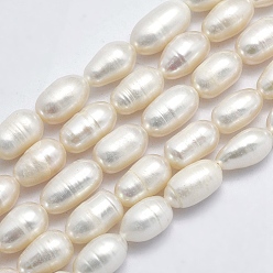 Beige Brins de perles de culture d'eau douce naturelles, ovale, beige, 7~10x5~6mm, Trou: 0.8mm, Environ 37 pcs/chapelet, 14 pouce (35.5 cm)