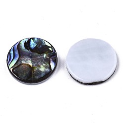 Colorful Natural Abalone Shell/Paua Shell Cabochons, with Freshwater Shell, Flat Round, Colorful, 15x3mm