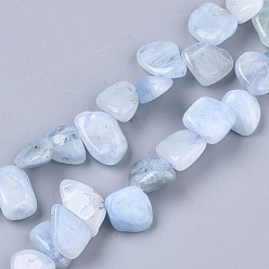 Aquamarine Natural Aquamarine Beads Strands, Nuggets, 8~20x5~15x4~8mm, Hole: 1mm, about 50~55pcs/Strand, 15.35 inch(39cm)