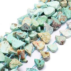Peruvian Turquoise(Jasper) Brins de perles de turquoise péruvienne naturelle (jaspe), larme, 12~20x5~15x3~7mm, Trou: 0.8mm, Environ 24 pcs/chapelet, 15.04'' (38.2 cm)