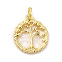 Tree of Life Rack Plating Brass with Plastic Pendants, Real 18K Gold Plated, Flat Round with Tree of Life, Lead Free & Cadmium Free, Tree of Life Pattern, 20x17.5x3mm, Hole: 4.5mm