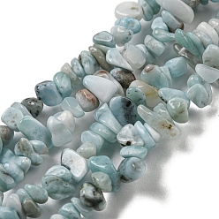 Larimar Larimar naturelles brins de perles, puce, 1.5~5x3~13x2~8mm, Trou: 0.6mm, 30.94~31.97'' (78.6~81.2 cm)