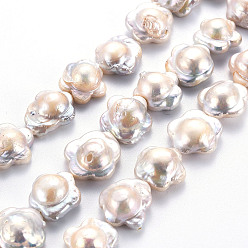 Color de la concha Naturales keshi granos de perlas hebras, perla cultivada de agua dulce, flor, color de concha, 14~19x15~17x7~8 mm, agujero: 0.6 mm, sobre 24~25 unidades / cadena, 14.96~15.35 pulgada (38~39 cm)