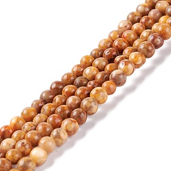 Pérou Brins de perles en pierre naturelle maifanite / maifan, teint, ronde, Pérou, 4~4.5mm, Trou: 1mm, Environ 91~100 pcs/chapelet, 14.96~15.35 pouce (38~39 cm)