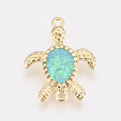 Turquoise Synthetic Opal Links connectors, with Brass Findings, Turtle, Golden, Turquoise, 17x13x2mm, Hole: 1mm