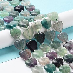 Fluorine Fluorite naturel chapelets de perles, avec des perles de rocaille, cœur, 14~15x15x6~6.5mm, Trou: 1.4mm, Environ 23~24 pcs/chapelet, 14.57'' (37 cm)