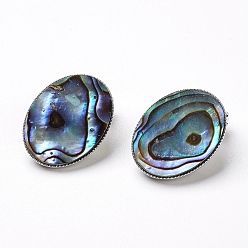 Colorful Natural Abalone Shell/Paua ShellOval Clip-on Earrings, with Brass Findings, Platinum, Colorful, 21x16x11mm