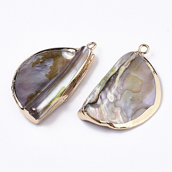 Shell Natural Freshwater Shell Pendants, with Iron Loops, Edge Golden Plated, Half Round, 33~34x19x6.5~8mm, Hole: 1.8mm