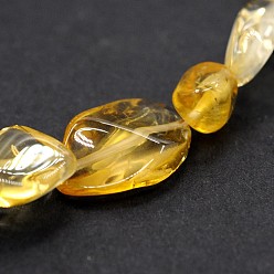 Citrino Hebras de perlas naturales citrino, piedra caída, pepitas, teñido y climatizada, 5~19x4~9x3~9 mm, agujero: 0.5~1 mm, alrededor de 15 pulgada