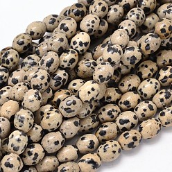 Jaspe Dalmate Ovales dalmate naturelle brins de perles de jaspe, 10x8mm, Trou: 1mm, Environ 39 pcs/chapelet, 15.7 pouce